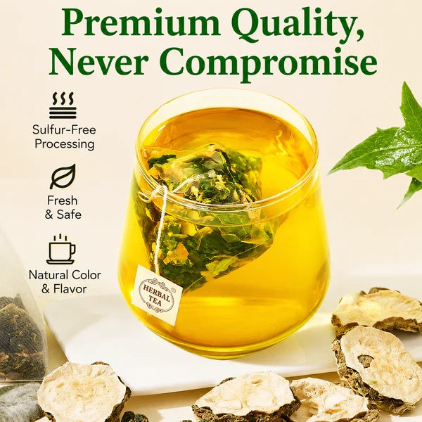 Tong Ren Tang Mulberry Leaf & Winter Melon Tea – Shuang Gua Meridian-Soothing Herbal Tea, Caffeine-Free | Natural Ingredients, Gentle Formula